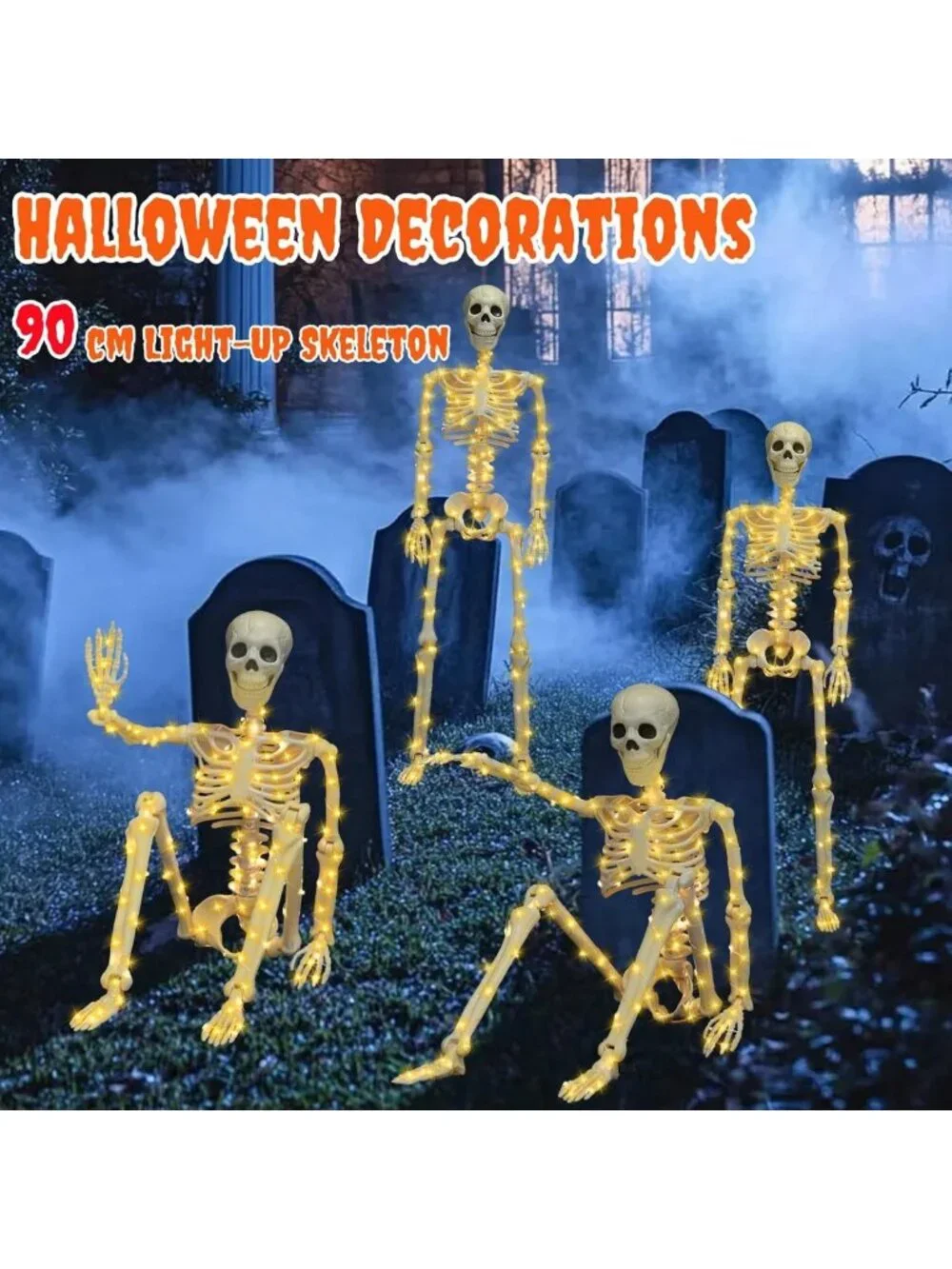 2 Pack 36